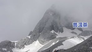 雪山印象普洱茶-雪山印象普洱茶价格