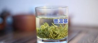 普洱茶青毛茶：红茶、绿茶还是生茶？揭开其与青毛茶的区别