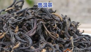 如何识别嫁接普洱茶的好坏？现常用茶叶品种解析