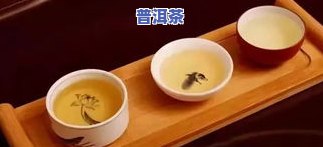 普洱茶讲解视频教程：深入理解普洱茶的制作过程与品鉴技巧