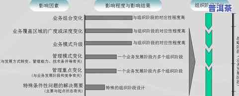 影响普洱茶口感的要素：关键因素解析