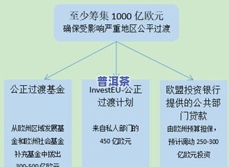 影响普洱茶口感的要素：关键因素解析