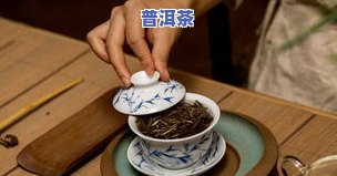 邓爱军讲普洱茶：从大师到故事，全面解析普洱的魅力