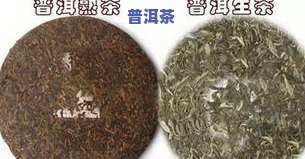 普洱茶6级原料是什么？详解其等级与标准