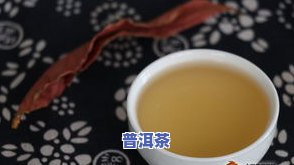 茶叶介绍：普洱茶的独特特点与主要特征是什么？