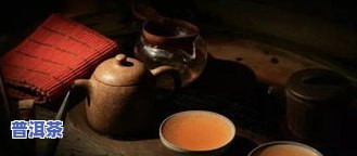 西双版纳古六大普洱茶-西双版纳的普洱茶有哪些