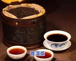 普洱茶的知识大全介绍图片：从种类到冲泡方法全解析