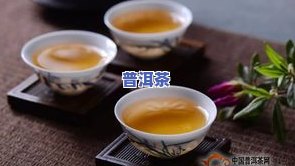 普洱茶的知识大全介绍一下-普洱茶的知识大全介绍一下