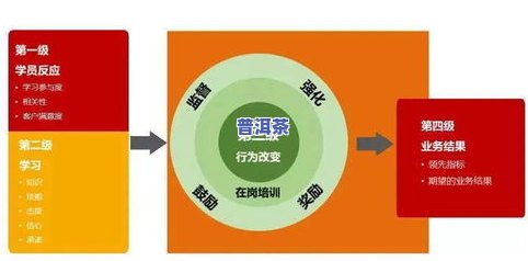 花旗茶功效与作用：全面解析及其禁忌