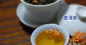 肝阴虚女性是不是适合饮用熟普洱茶？建议适量饮用。