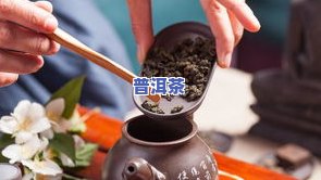 上海哪个茶叶场更大？排名与价格一网打尽！