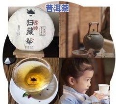 静乐普洱茶-静观普洱茶