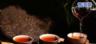 普洱芽茶：生茶还是熟茶？区别与选择指南