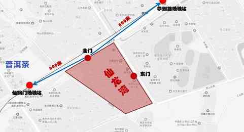 光山县茶叶交易市场位置全攻略：详细地址与热门市场盘点