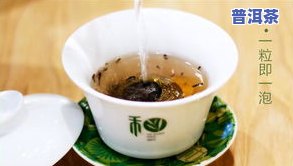 普洱茶7511，探索普洱茶的世界：深入了解7511普洱茶的制作工艺和品鉴技巧