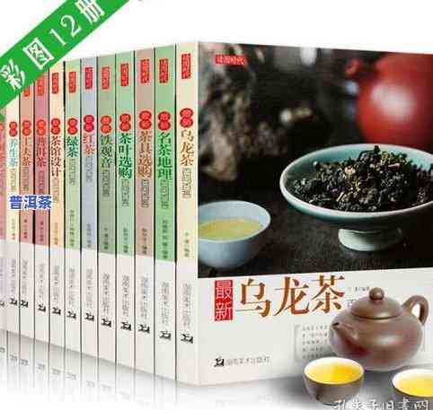 讲解普洱茶最全面的书籍：深入解析普洱茶的历史、制作工艺与品鉴技巧