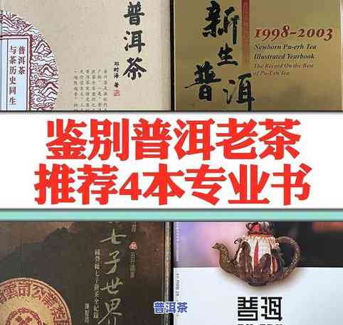 讲解普洱茶最全面的书籍：深入解析普洱茶的历史、制作工艺与品鉴技巧