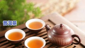 益壶春普洱茶价格多少一斤？最新图片与详细信息