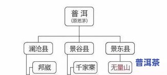 普洱茶源头在哪里？揭秘其产地及购买渠道