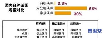 思茅地区茶叶：产量、种类与行业协会发展