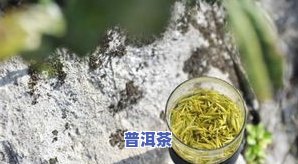 普洱茶配甘草喝对女生身体好吗？