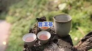 饮完普洱茶后胃胀气放屁的原因解析