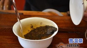 怎样普洱茶-怎样泡普洱茶