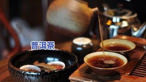 关于普洱茶的有趣视频大：观看、下载、图片一应俱全！