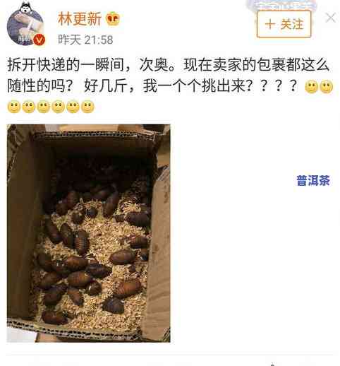 为什么普洱茶有股牛屎味？揭开其独特口感的秘密