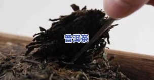 为什么普洱茶有牛粪味呢-为什么普洱茶有牛粪味呢怎么回事