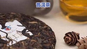 普洱茶起霉点能食用吗？探讨其安全性和原因