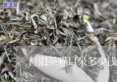 武夷山有什么普洱茶好喝-武夷山有什么普洱茶好喝的