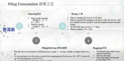 普洱茶外文-普洱茶英文