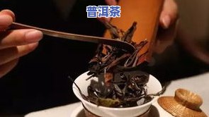 普洱茶老白茶更佳保存方法