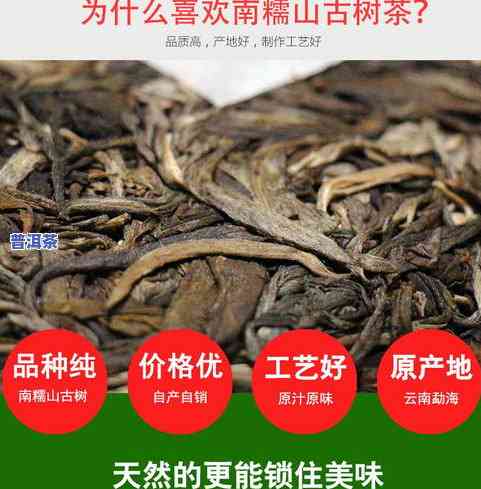 普洱茶古树纯料长啥样图片大全及价格解析