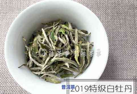 用普洱茶去异味-用普洱茶去异味的方法