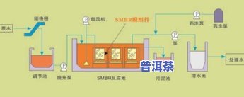 好的普洱茶加工工艺流程图：详解制作过程与关键步骤的视频教程