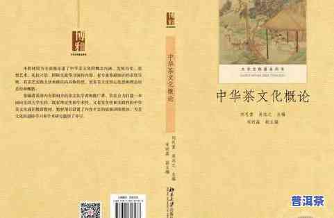 尔雅茶叶价格、行情与评价：四川尔雅茶叶怎么样？福建尔雅茶文化史博物馆地址