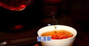 20年普洱茶：价值与可饮用性探究