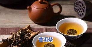 方圆之缘普洱茶的来源及其历史：400克的故事