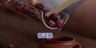 买了一杯青柑普洱茶怎么喝-买了一杯青柑普洱茶怎么喝才好喝