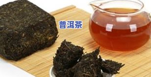 普洱茶陕西-普洱茶陕西专家