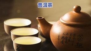 浦东普洱茶-上海 普洱茶