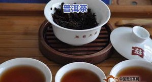 普洱茶爱好者必收藏：品茗必备之物件与收藏须知