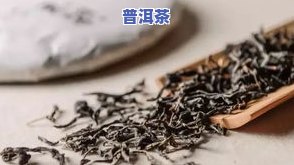 普洱茶保质期在哪里看-普洱茶保质期在哪里看的