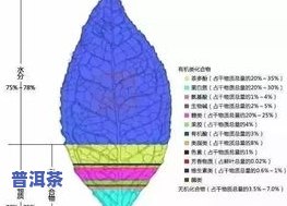 糯香普洱茶是怎么制作的呢，探秘糯香普洱茶的制作工艺