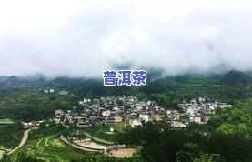 黄山歙县茶叶市场位置全攻略：哪里进货、场一网打尽！