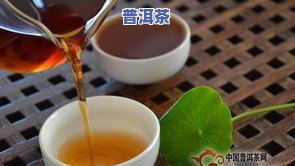 玫瑰普洱茶的禁忌与副作用解析：功效、好喝程度及图片全览