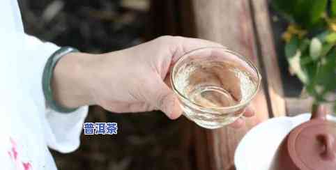 15岁女性是否适合喝茶？探讨年龄、性别与饮茶的关系