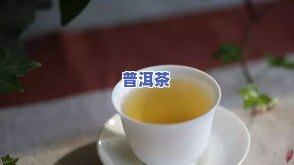 橘子爱喝普洱茶-橘子爱喝普洱茶吗